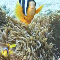 INDONESIA - more than just Bali