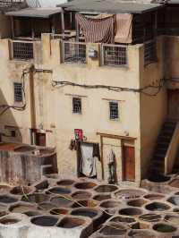 The Fes Tannery