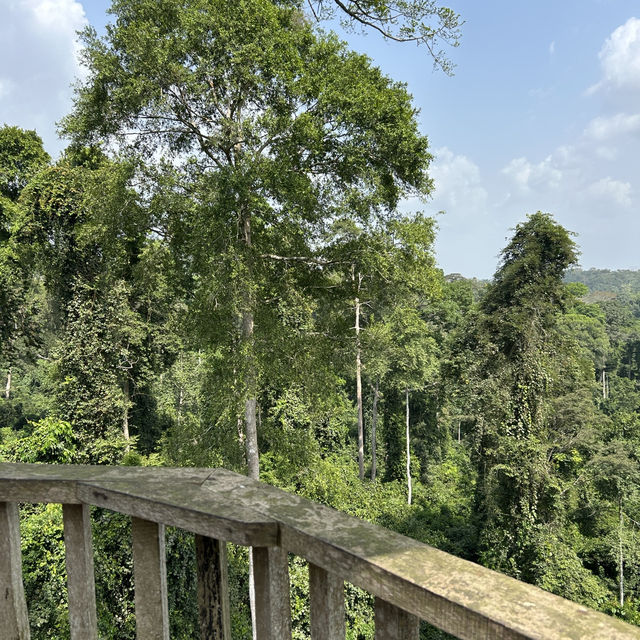 The Kakum National Park in Ghana 🇬🇭 