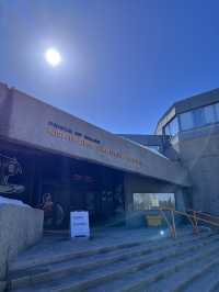 イエローナイフで圧巻のオーロラを見よう！！！💫