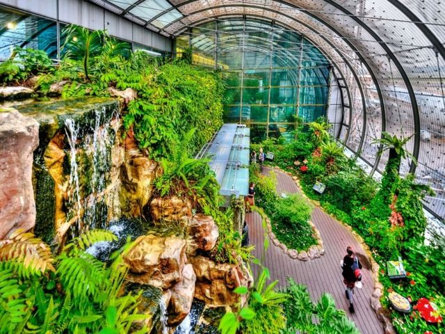Changi Airport: Where your adventure in Singapore begins!!