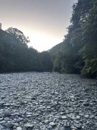 🚗💦 Wanaka to Haast: A Scenic Drive Through Lakes & Waterfalls