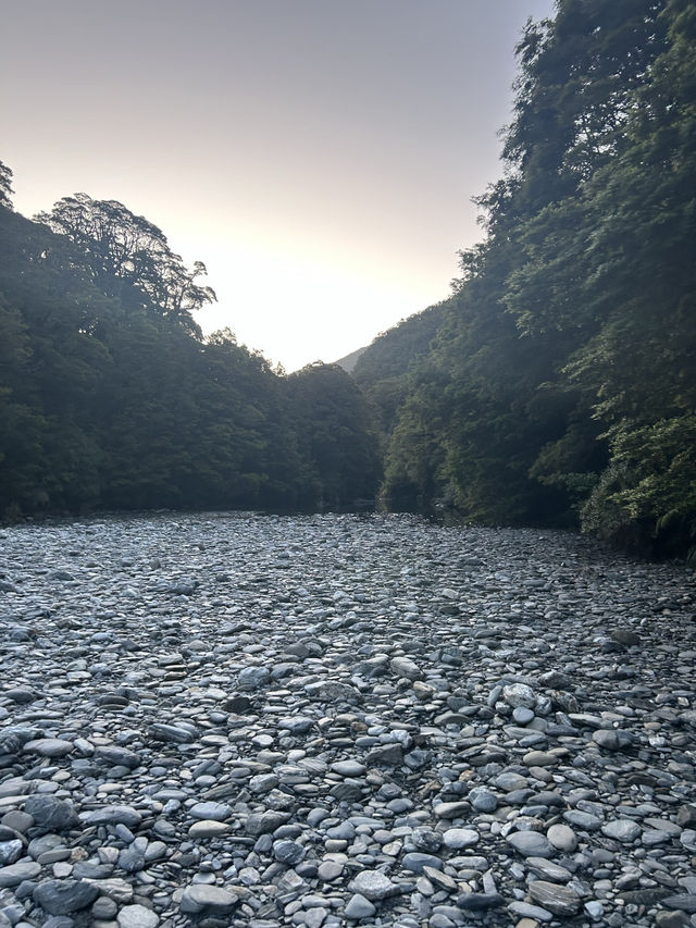 🚗💦 Wanaka to Haast: A Scenic Drive Through Lakes & Waterfalls
