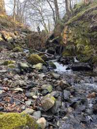 Waterfall in the woods 