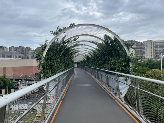 Xiamen Transit: A Scenic Escape Along the Shanhai Trail
