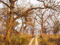 Chitwan National Park