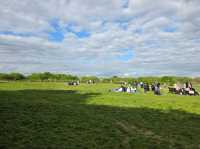 A Perfect Summer Day at Birmingham Airport Viewing Area – A Hidden Gem in Sheldon Country Park