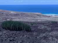 The North Coast Nature Day 