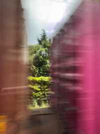 Riding Rails & City Vibes: A Day Trip Through Hamburg