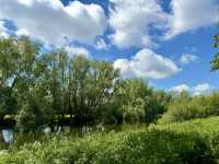 Blueway to Kilsheelan & Garden Pause