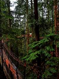 Capilano Suspension Bridge Park: Nature Meets Thrill in Vancouver’s Backyard