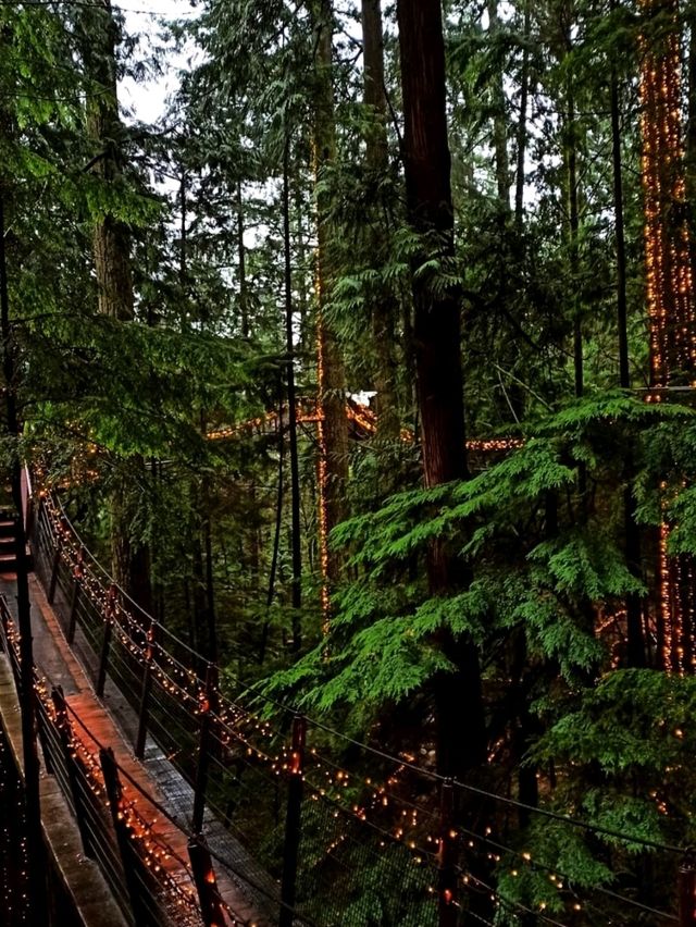 Capilano Suspension Bridge Park: Nature Meets Thrill in Vancouver’s Backyard