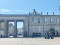 Summer in Copenhagen: A Free-View Adventure Through History and Harbor