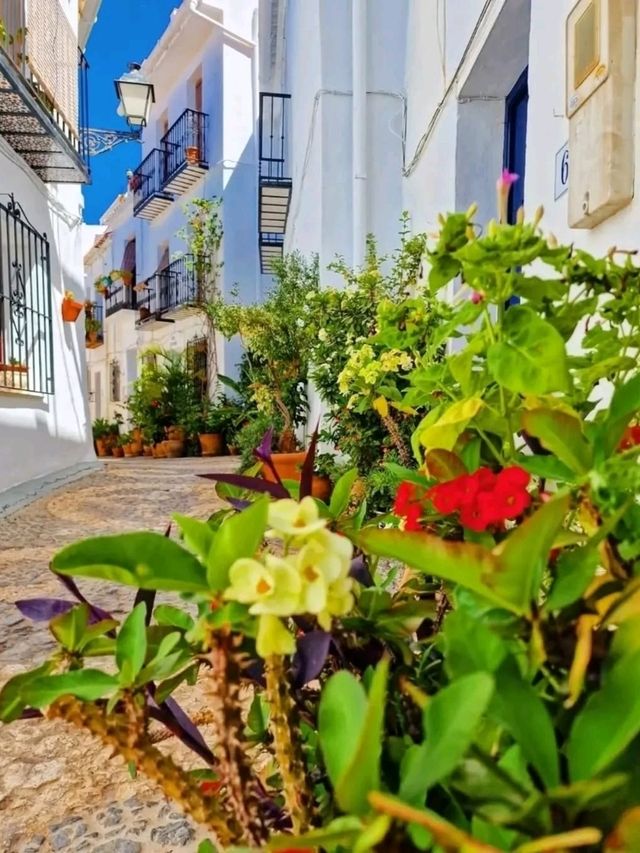 🌿 White Walls, Blue Skies – Frigiliana, Spain