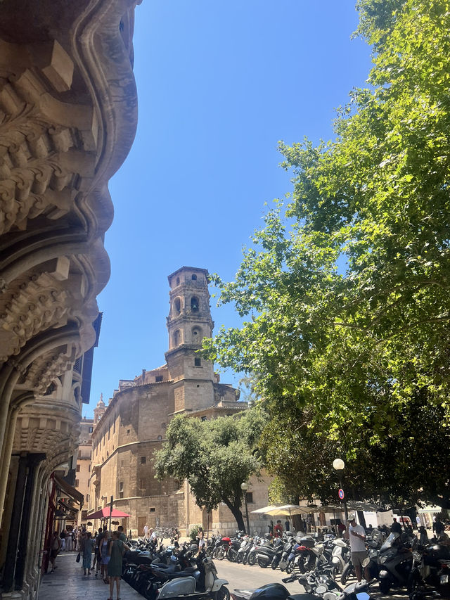 Magnificent Majorca Trip 