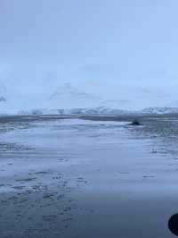 Whale Spotting in ANTARCTICA ❄️🐋