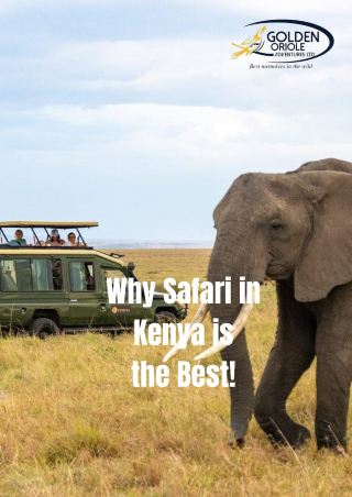 7-Day Aberdare/ Nakuru/ Naivasha/ Mara & Amboseli