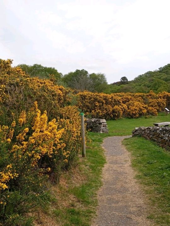 The Plock Kyle of Lochalsh 