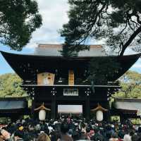 Tokyo: Where Tradition Meets Tomorrow