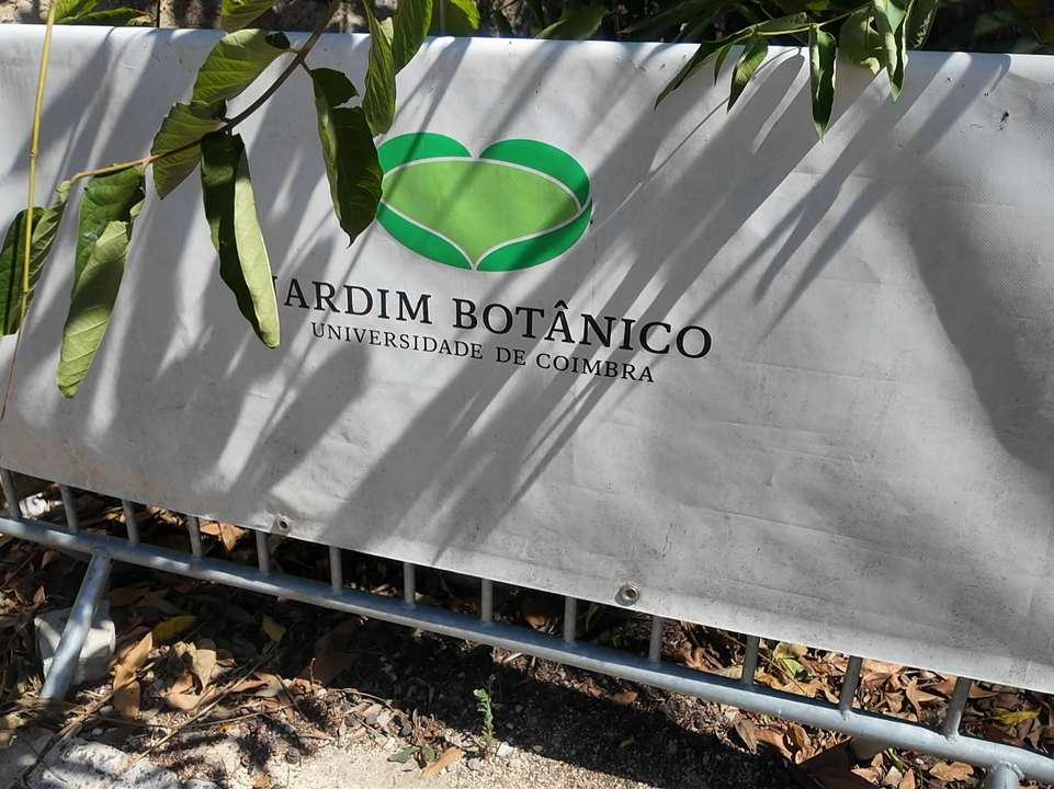 Relax in nature in Coimbra 🌿 Botânico Garden
