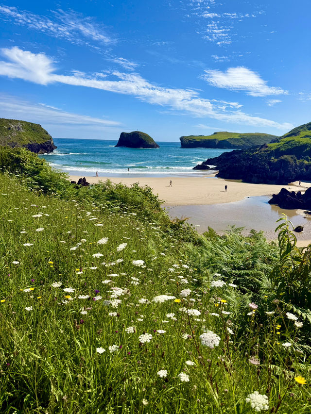 Between Beaches and Hills