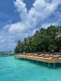 Fihalhohi Island Resort — The Maldives with Soul (Not Perfection, But Heart)