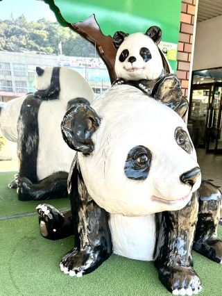 白濱三日遊行程