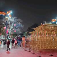 СИАНЬ за один день!