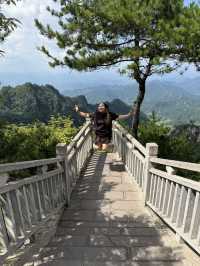 Макаки 🐒 ждут Вас в Национальном парке Чжанцзяцзе ✨ 