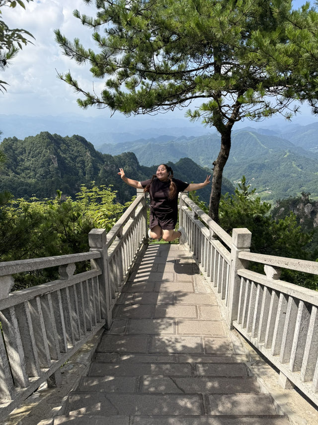 Макаки 🐒 ждут Вас в Национальном парке Чжанцзяцзе ✨ 