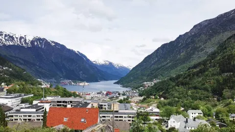 When people ask me why I love Norway, places like Odda are my answer. — traveler post in Odda
