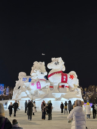 Harbin Ice-Snow World: A Sparkling Winter Wonderland Experience