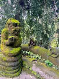 Sacred Monkey Forest - Ubud🐒🌿