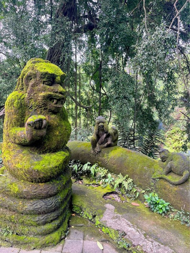 Sacred Monkey Forest - Ubud🐒🌿