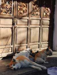 Lijiang Old Town, Yunnan🌷
