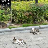 蘇州や江南の芸術や名士の歴史を学べる場所