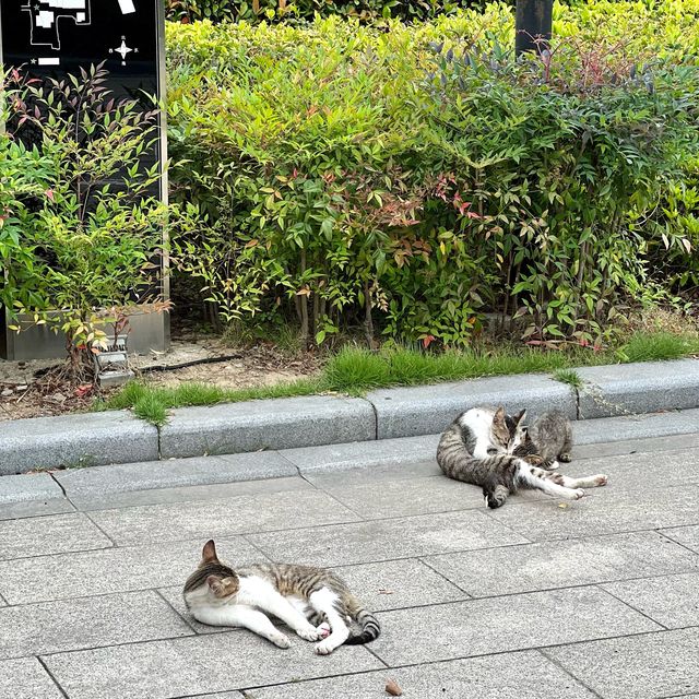 蘇州や江南の芸術や名士の歴史を学べる場所