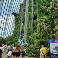 Gardens by the Bay