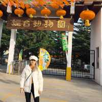 Animals, Rides, and Scenic Beauty: Yantai