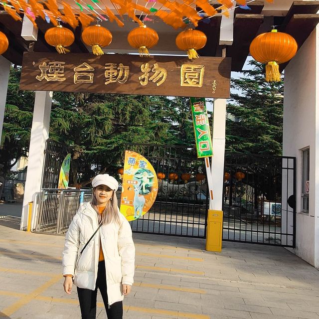 Animals, Rides, and Scenic Beauty: Yantai