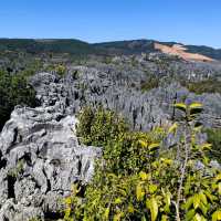 The Stone Forest | Kunming 