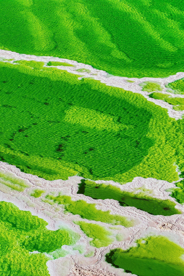 天神打翻了青蘋果汁！大地調色盤自駕路線