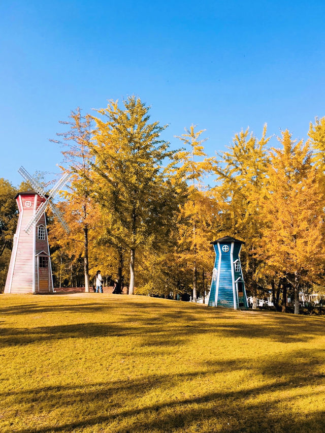 武漢的秋天很短 | 秋天的裡解放公園
