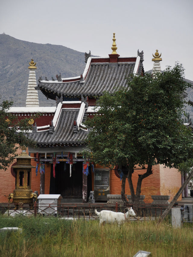 內蒙古旅遊｜草原上的蒙寺-包頭昆都侖召