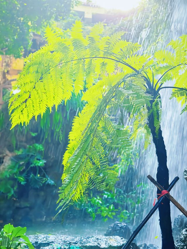 江西贛州博物館植物園【叮叮推薦】