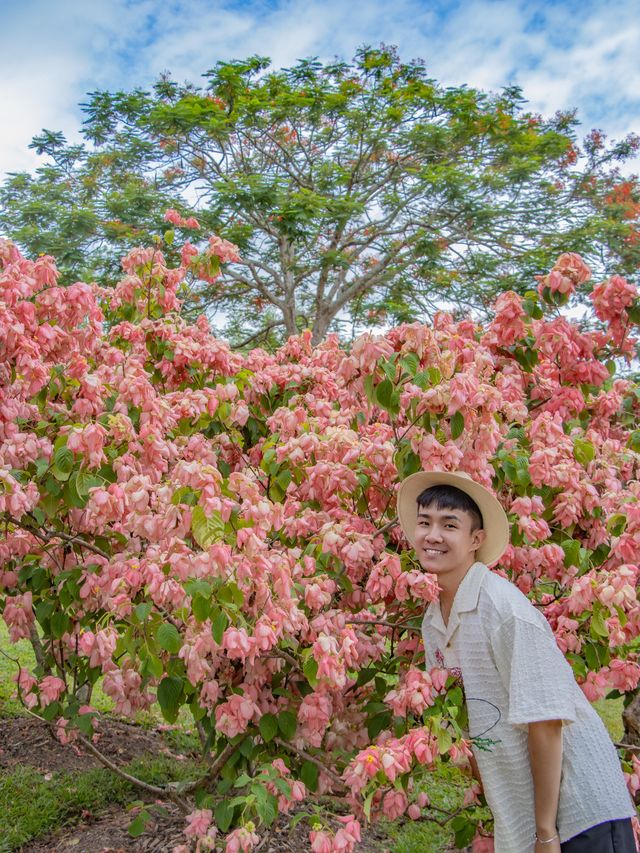 為了中科院植物園專程飛到西雙版納