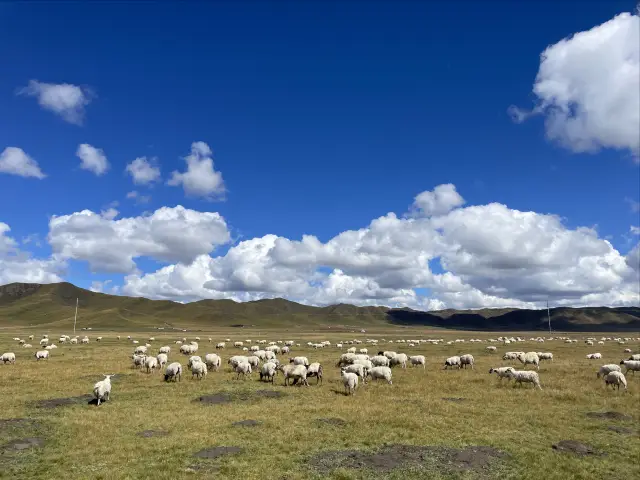 成都から甘南への旅～美しい風景は道中に