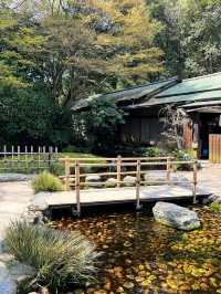 🎈高松栗林公園，一個小眾但是充滿趣味的地方，這裡遊客較少、酒店價格實惠、當地居民淳樸友善，是一個非常好的旅遊目的地
