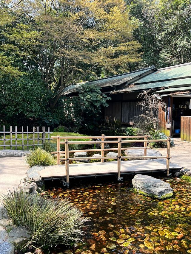 🎈高松栗林公園，一個小眾但是充滿趣味的地方，這裡遊客較少、酒店價格實惠、當地居民淳樸友善，是一個非常好的旅遊目的地