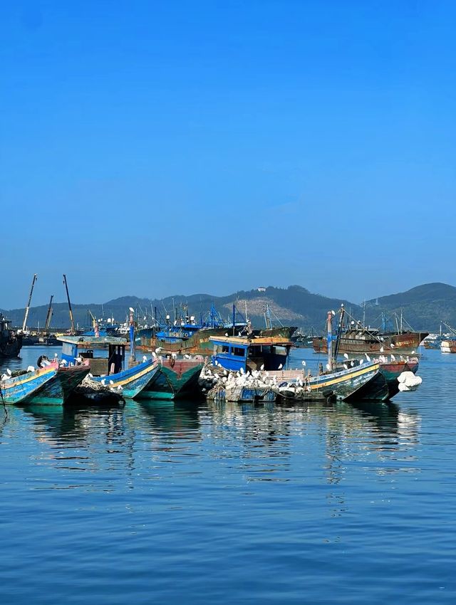 探索廈門漳州東山島，美麗的海灘、清澈的海水和豐富的文化